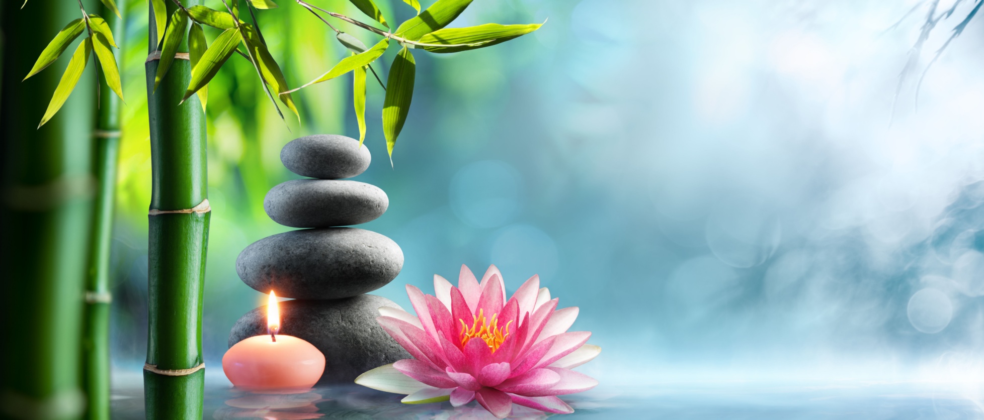 Tranquil scene of arrangement of rocks and flowers over water